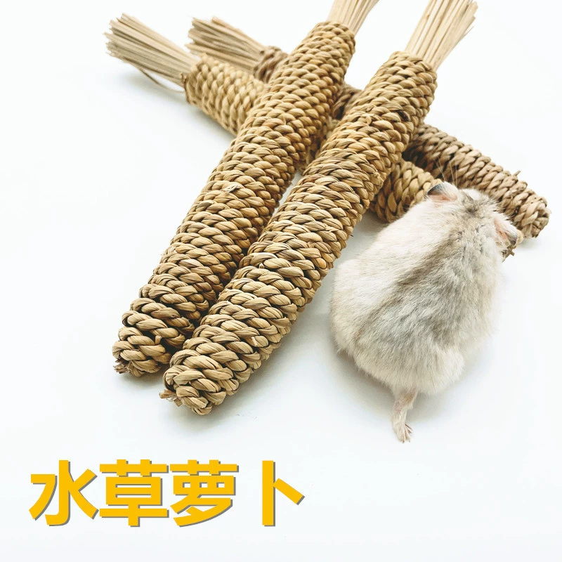 Водная трава Редька Маленький питомец Трава Молярная игрушка Кролик Тоторо Хомяк Домашнее животное Пьяница Молярная игрушка