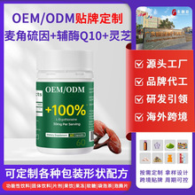 ���������oøQ10�ڷ��z���N�ƶ������S��������F�\�~�i��OEM/ODM