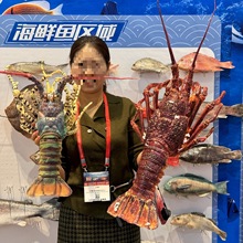 大龙虾模型澳龙青龙古巴龙波龙红龙多款式海鲜道具展台摆设品其他