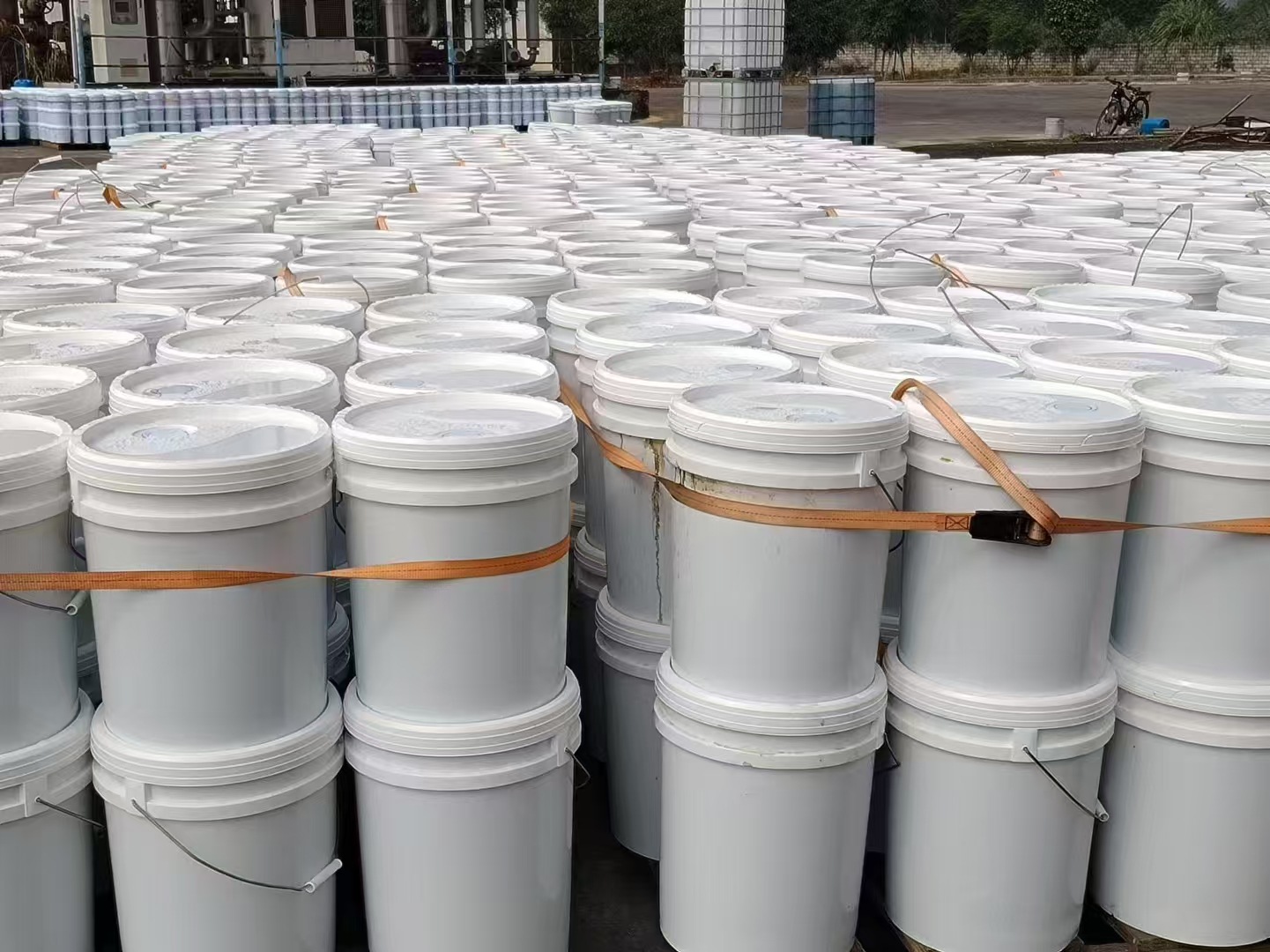 微信图片_20250220123116