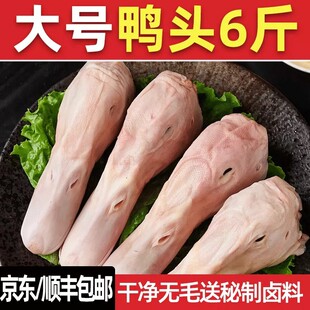 ���^������l���^���r���^�����������r�����^��������؛���r20��