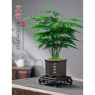 ����ֲ���҃ȿ͏d��ʽ�U��΢�辰�k�����滨�܄�������С�Gֲ