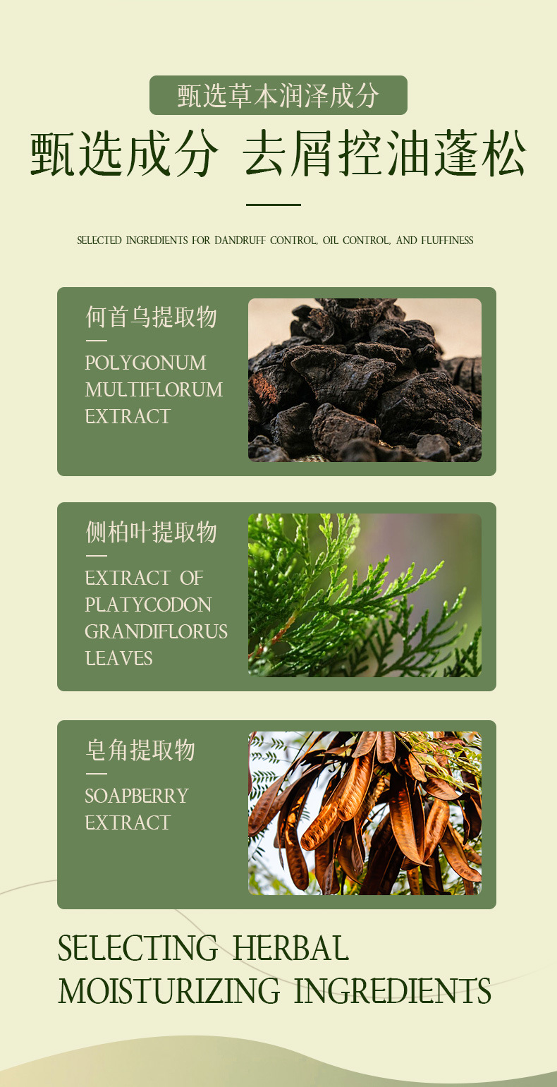 楠美植萃去屑控油洗发乳（绿瓶）_06.jpg