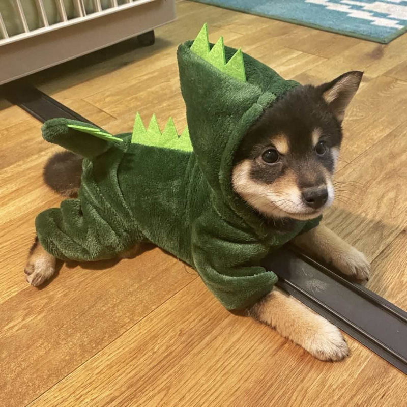 犬服恐竜変身服保温四足服テディ比熊法斗小型子犬ペット猫服|undefined
