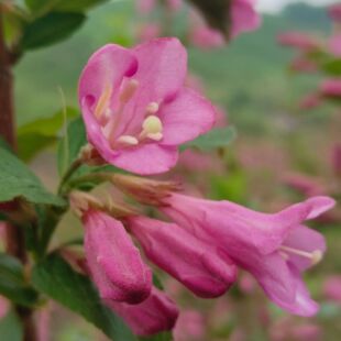 �ļ��\�� �t�����\��  �\������  �\��С��  �G�h�����ر�