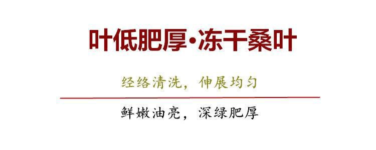 Mulberry Leaf Tea Sang Ye 桑叶 Roasted Frost-Harvested Loose Herbal Tea 2 Bottles 125g Each quality and texture