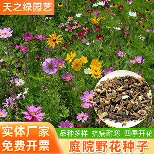 Ұ���M�ϷN���ļ�������·߅ͥԺ���N�ͺ����N�����׻�����N��