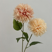 ��֦��z�[�� ���滨���z�����ѹ�Ӣ��c��Y�廨�bҾӔ[��