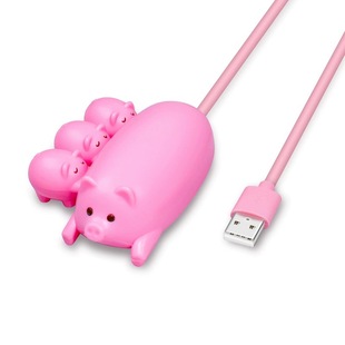 С�i��ͨUSB2.0�UչHUB�Pӛ��U�P��Ӿ� ���ӿڼ������־��� �S��