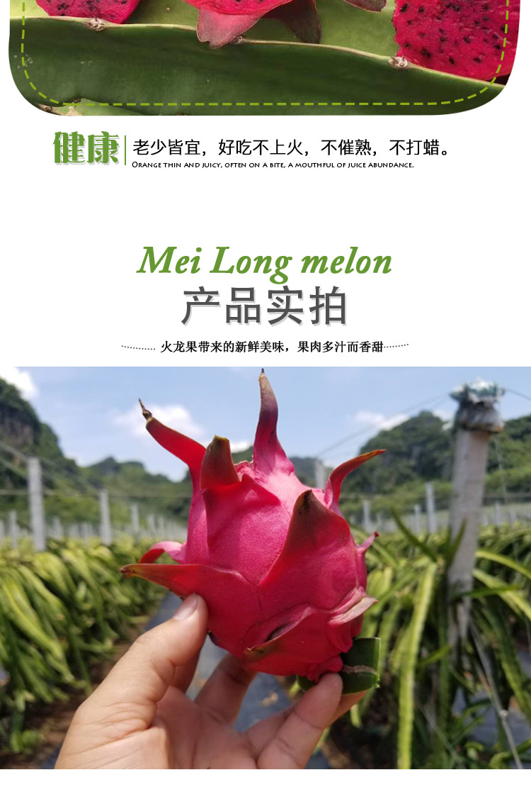 火龙果详情页_08.jpg