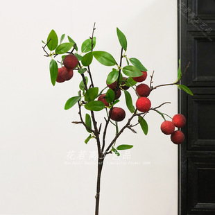 �羳����ˮ��С֦��÷����䁙�����ꐔ[�ODIY�b���������廨