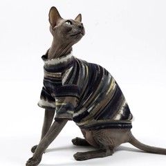 宠物服装工厂 欧美跨境电商宠物条纹背心德文无毛猫斯芬克斯猫衣