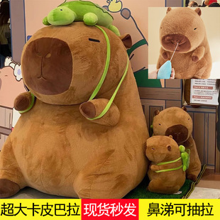 ��̖�W�t��Ƥ��������ë�q���Ƥ������1��5ˮ�������ż����Ů��