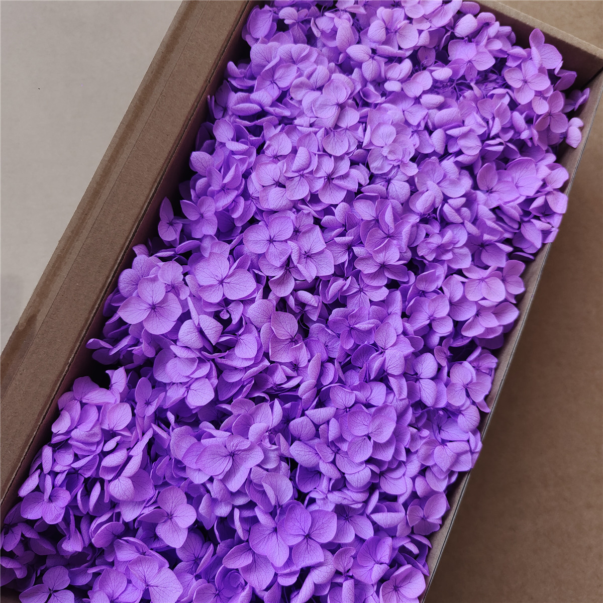 Flor eterna Hortensia Anna pequeña hoja flor seca flor real árbol de Navidad ventilador hecho a mano ramo DIY material paquete flor