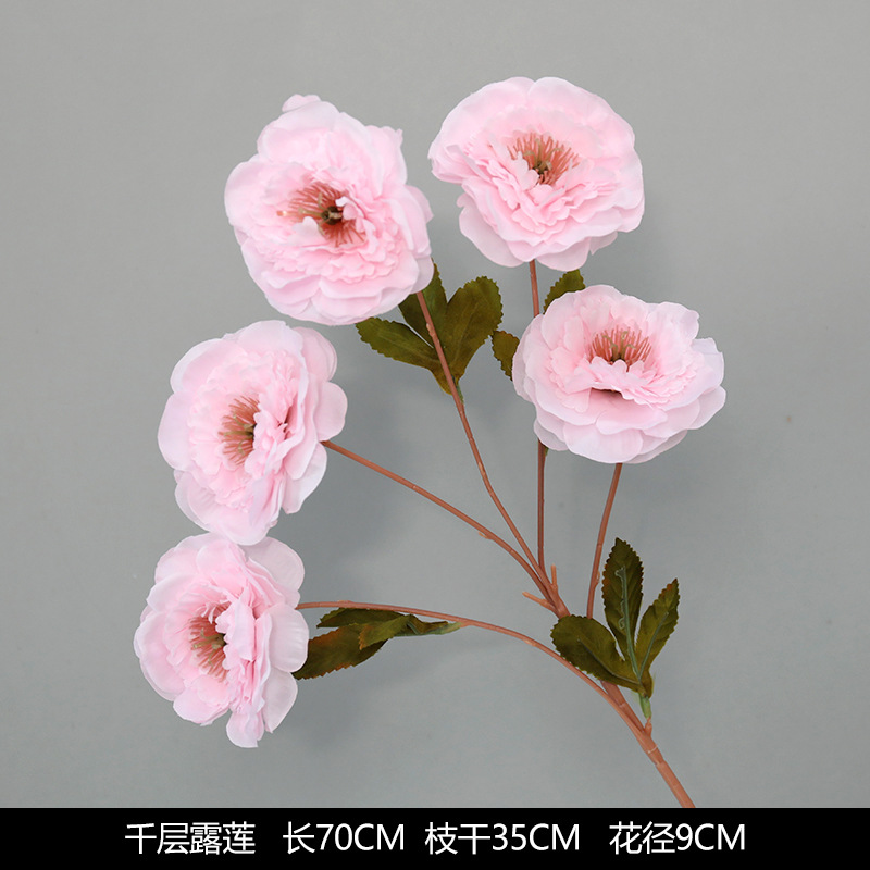 라자냐 (고기 가루)