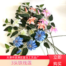 ���l3�^�����F��ɏ���Ҿ�ܛ�b�� ��Y��ˇ���������ĵ��Ż���S��