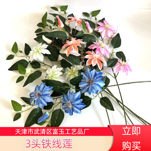 ���l3�^�����F��ɏ���Ҿ�ܛ�b�� ��Y��ˇ���������ĵ��Ż���S��
