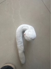 �ɐ�С�߹��Ѓ�ͯë�q��߲�����������żɳ�l�͏d�[�����꼪����