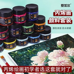 夏加尔アクリル絵具セット 初心者向け 壁画 手描き グラフィティ 石膏人形 絵画室専用 着色