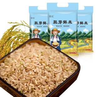 ���r�½��خa��ѿ�r�� 5��/�� �첼�頖һ�����׃�ͯ�I�B�������l