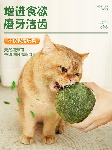 Cat toys, catnip balls, extra-large cat toys, self-stimulating and relieving boredom, cat and kitten tea sticks, teeth grinding cat supplies