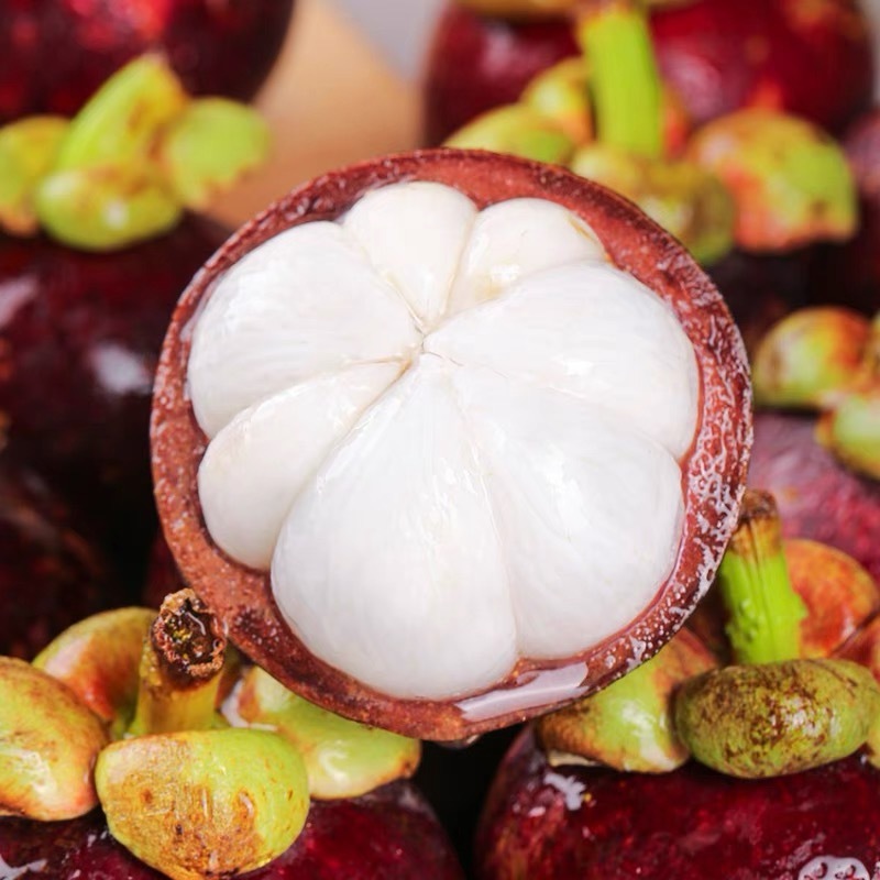 4b2aee5d-c97f-410a-b26f-980ed8fa62cb.jpe