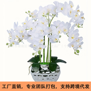 �����m���軨ˇ�Ƶ깫˾ǰ̨�[�O�͏d�[���bٻ����滨��c�Ҿ�