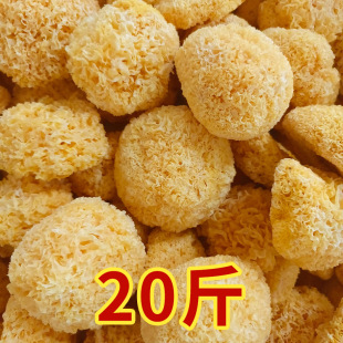 �S��ֱ��10kg�����y���ǰ�ľ����؛��������خa�S���ʳ�þ���