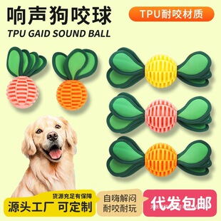 &radic;���R�d����������˽␞TPU��ҧĥ�����Ȥζ©ʳ���ǌ�����