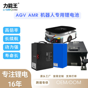 ���S���ƙC�����늳ع��I�O��늳ؽM48V30AH늳�AGVС܇�늳�