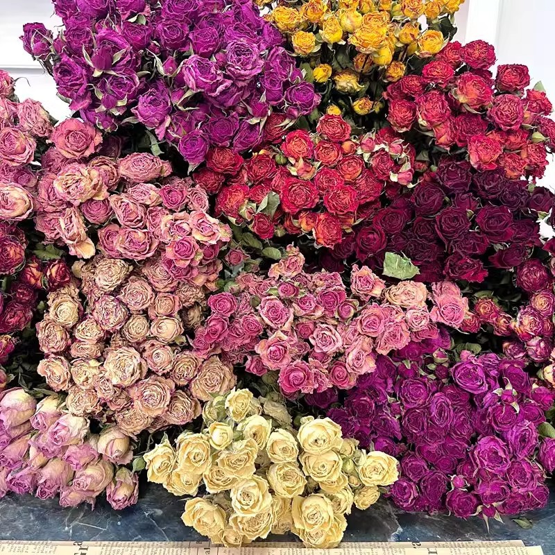 cd889c30-4e10-4c6b-81c7-dd865542782d.jpe