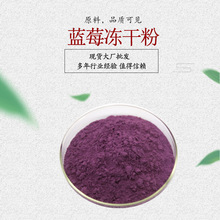 蓝莓冻干粉  蓝莓果粉 蓝莓花青素