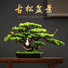 ���ͷ���ӭ�����辰�[���͏d�����쾰�������P�b��k������ʽ�U��