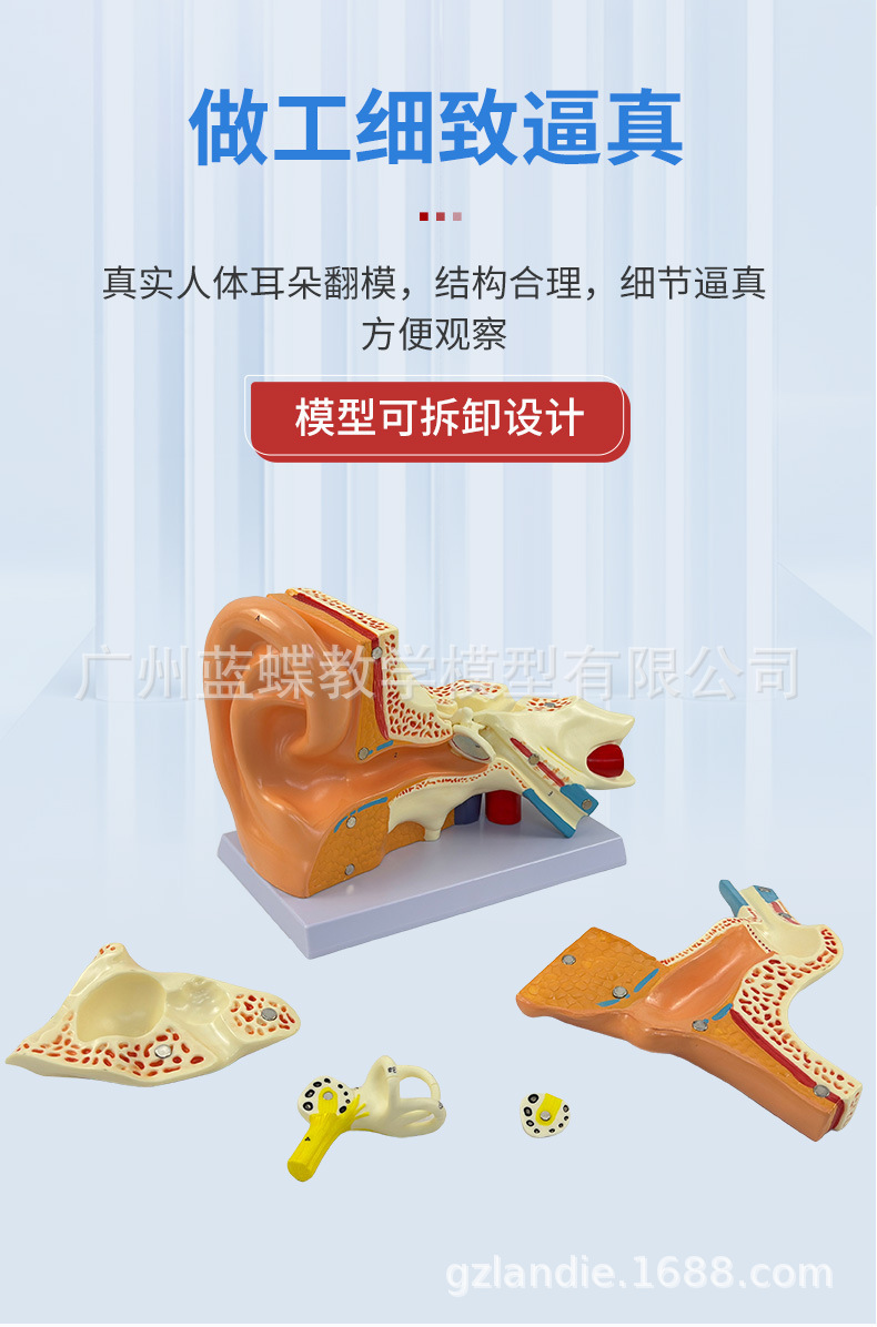 详情 (4)