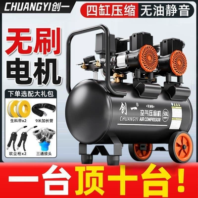 Hava kompressorları: Pump 220V Oil-Free Mini