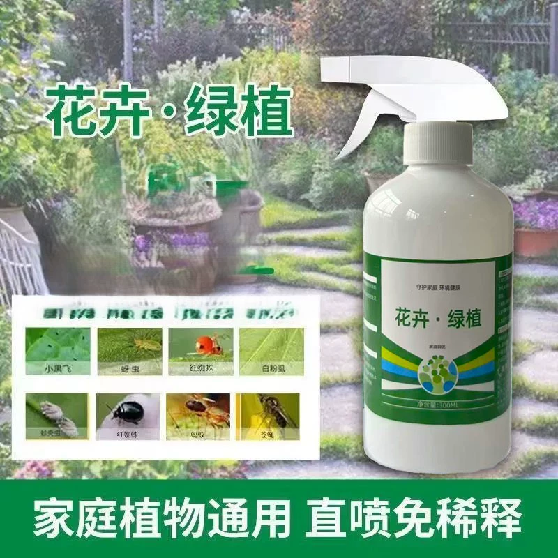 Baiqing растения цветы зеленые растения в горшках универсальные овощи