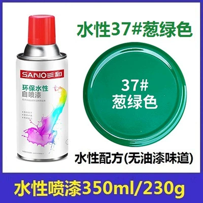 Avtomobil boyası, Anti-Rust Environmentally Friendly Odorless Black - sanhe-water-based-37green-onion-1-bottle-spray-water-based-paint