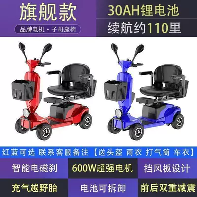 for the Elderly, Foldable Electric, Qatlanan elektrik velosipedlər - flagship-600w-lithium-battery-30ah-with-a-range-of-55-kilometers