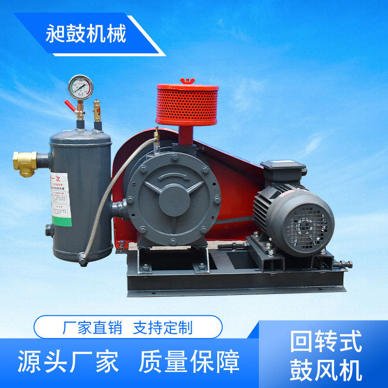 回转式鼓风机 出风量大低噪节能污水处理  回转式鼓风机