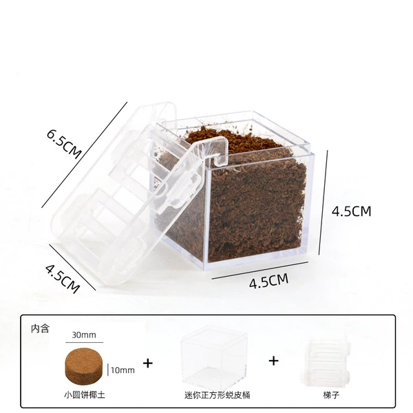 [Mini] "mini acrylic ladder" square molting bucket set