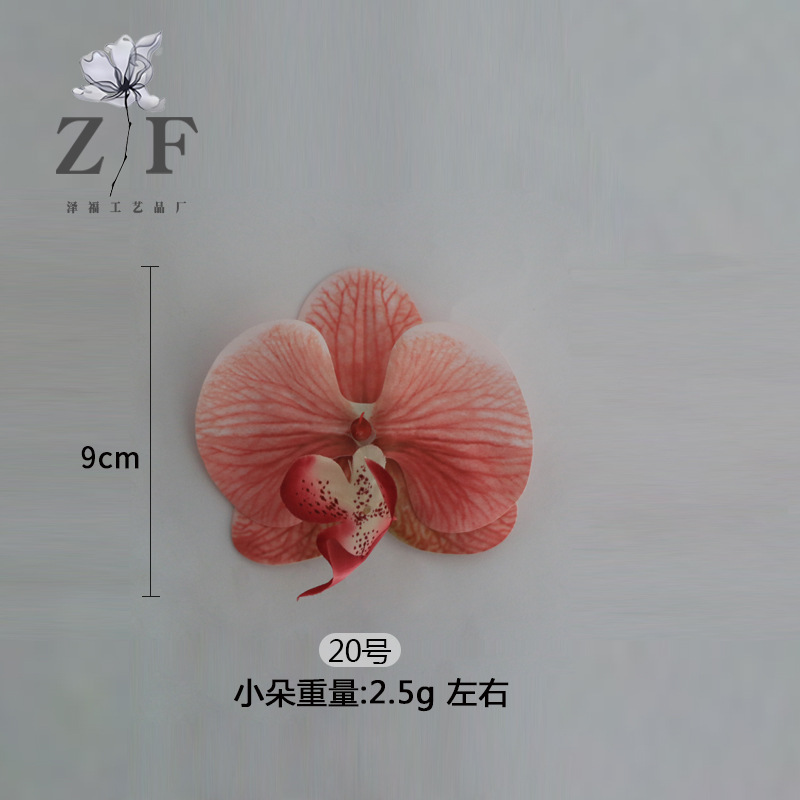 20호(소)