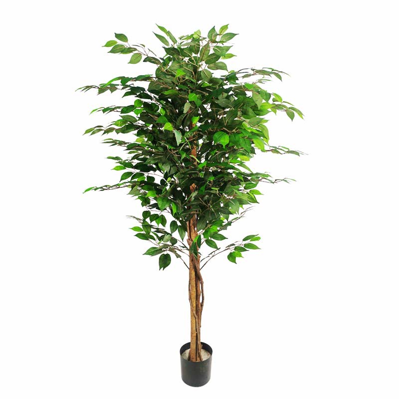 160cmdisassemble 2-pole artificial banyan tree