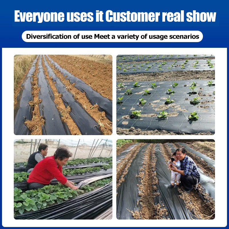 Agricultura Black Plastic Mulch Film Greenhouse Plastic