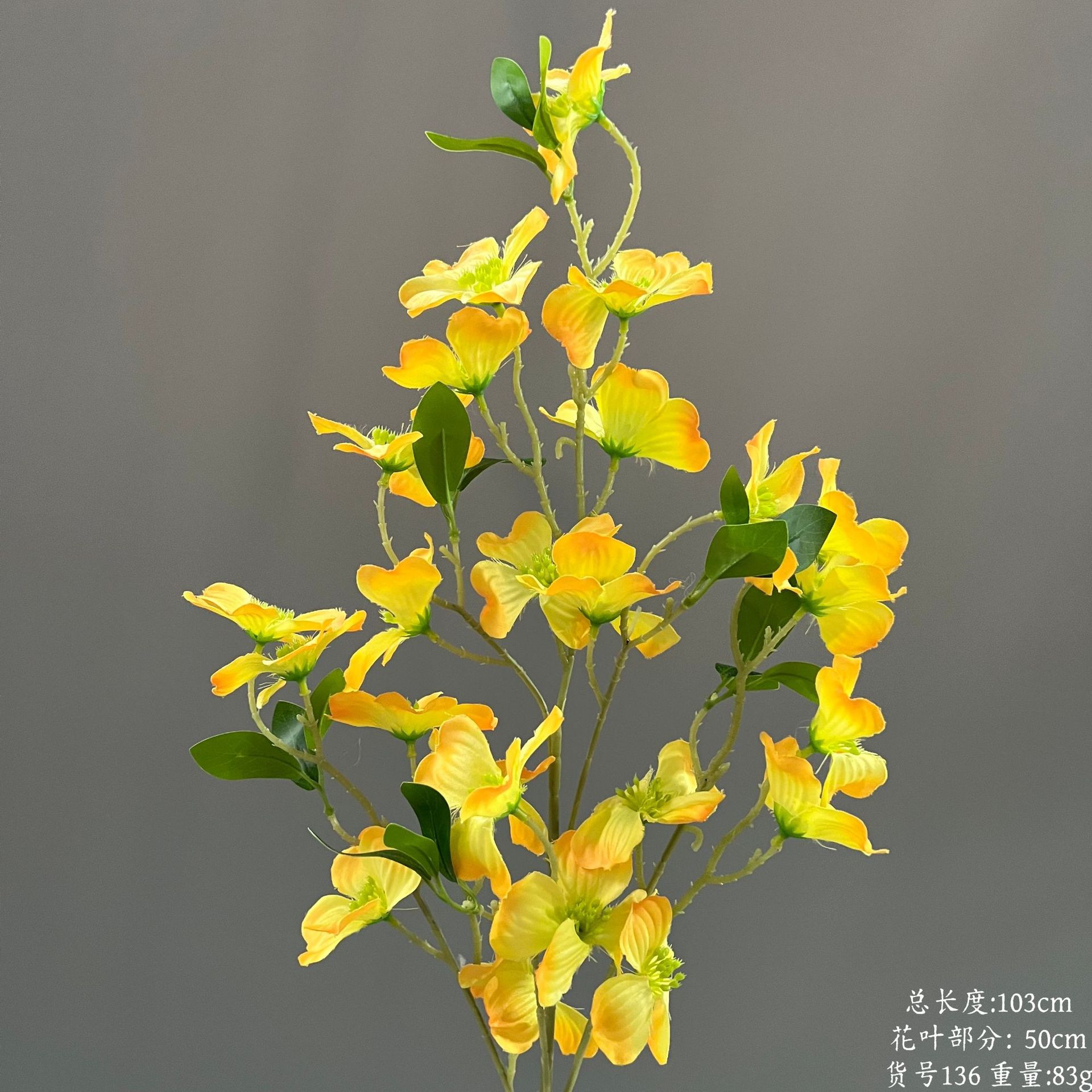 품목 번호 136-시자오화