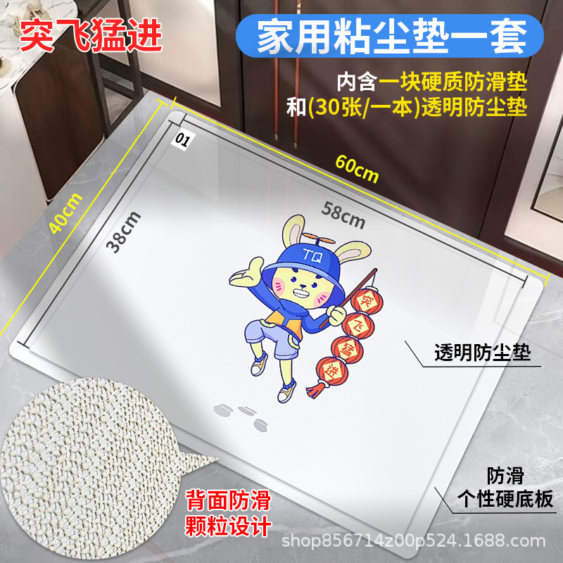 급속한 발전