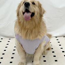 ������b2025�¿�Ŀ�ɐ��д���Ȯ���b�����·���ë�Ĕz�b�