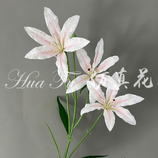 ����ˮ�ɰٺϻ��{��ɫ��c�ٺϻ��ٻ����յ��߼ҾӔ[�����滨���l