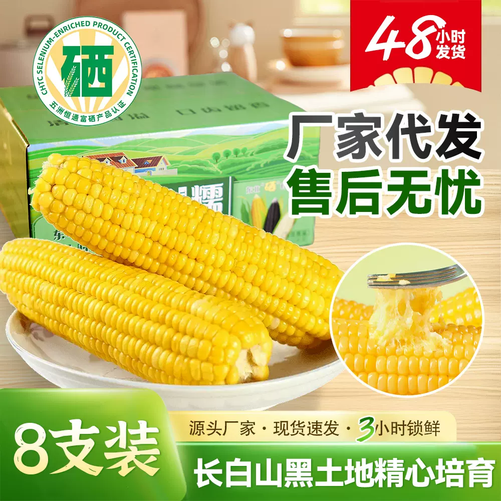 2025黄玉米新鲜糯玉米批发富硒东北糯玉米独立真空包装8支玉米