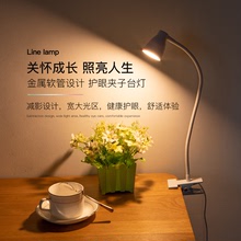 LED護眼閱讀學習台燈 創意便捷式夾子台燈 USB可調光卧室床頭燈