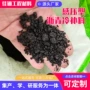 修复公路冷补填补沥青